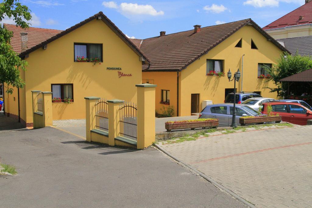 Pensiunea Blanca Reghin Zewnętrze zdjęcie