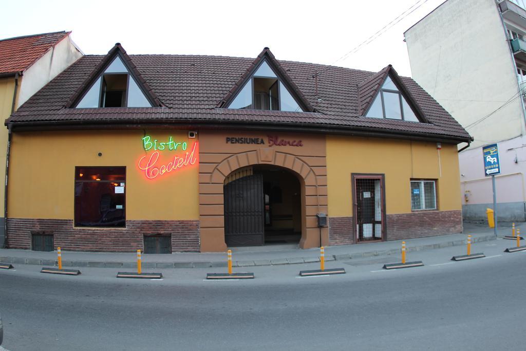 Pensiunea Blanca Reghin Zewnętrze zdjęcie